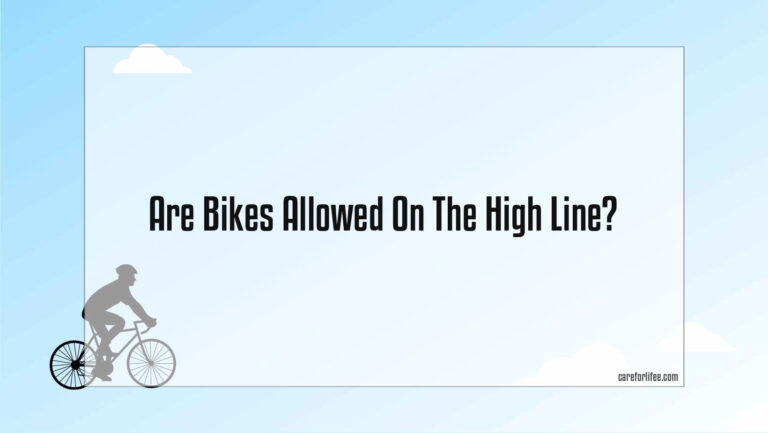 Are Bikes Allowed On The High Line?