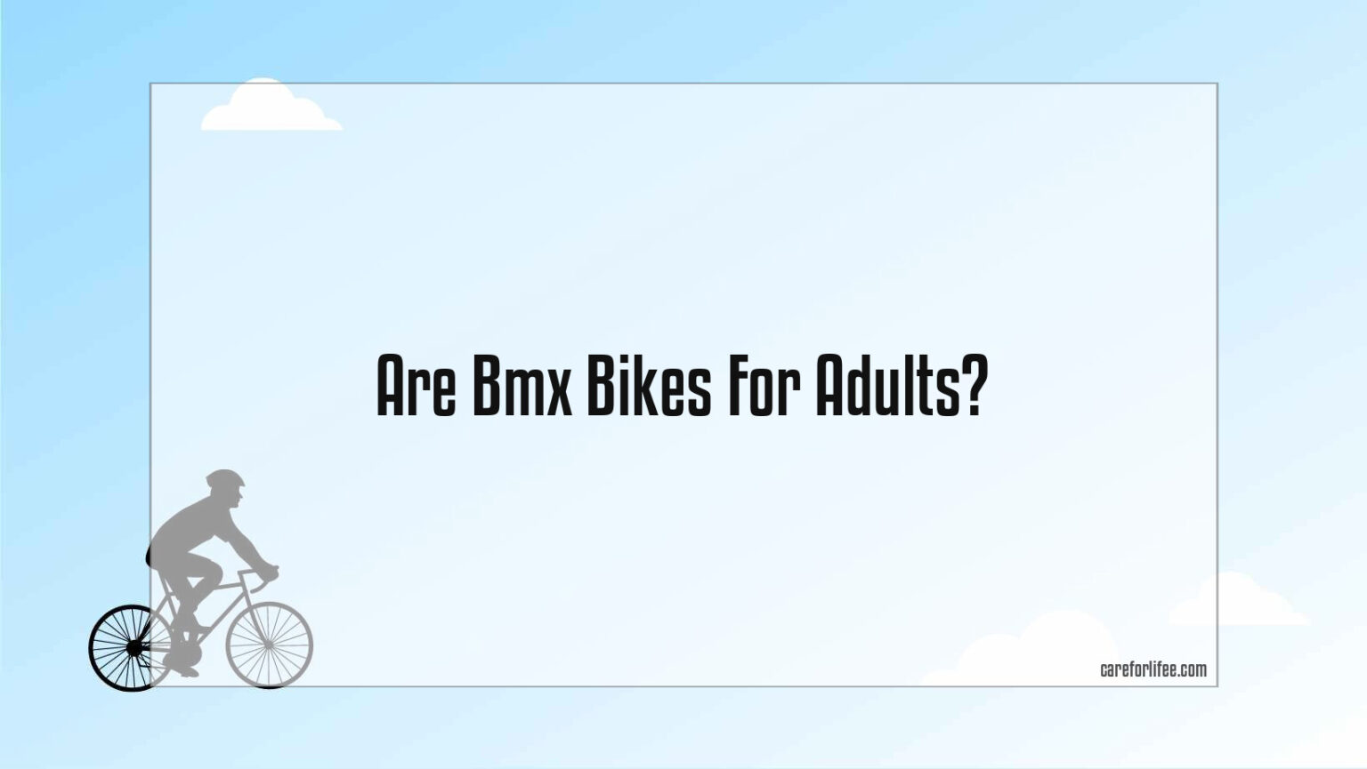 bmx bikes for sale adults