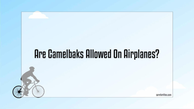 Are Camelbaks Allowed On Airplanes?