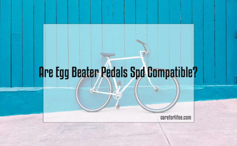 Are Egg Beater Pedals Spd Compatible?