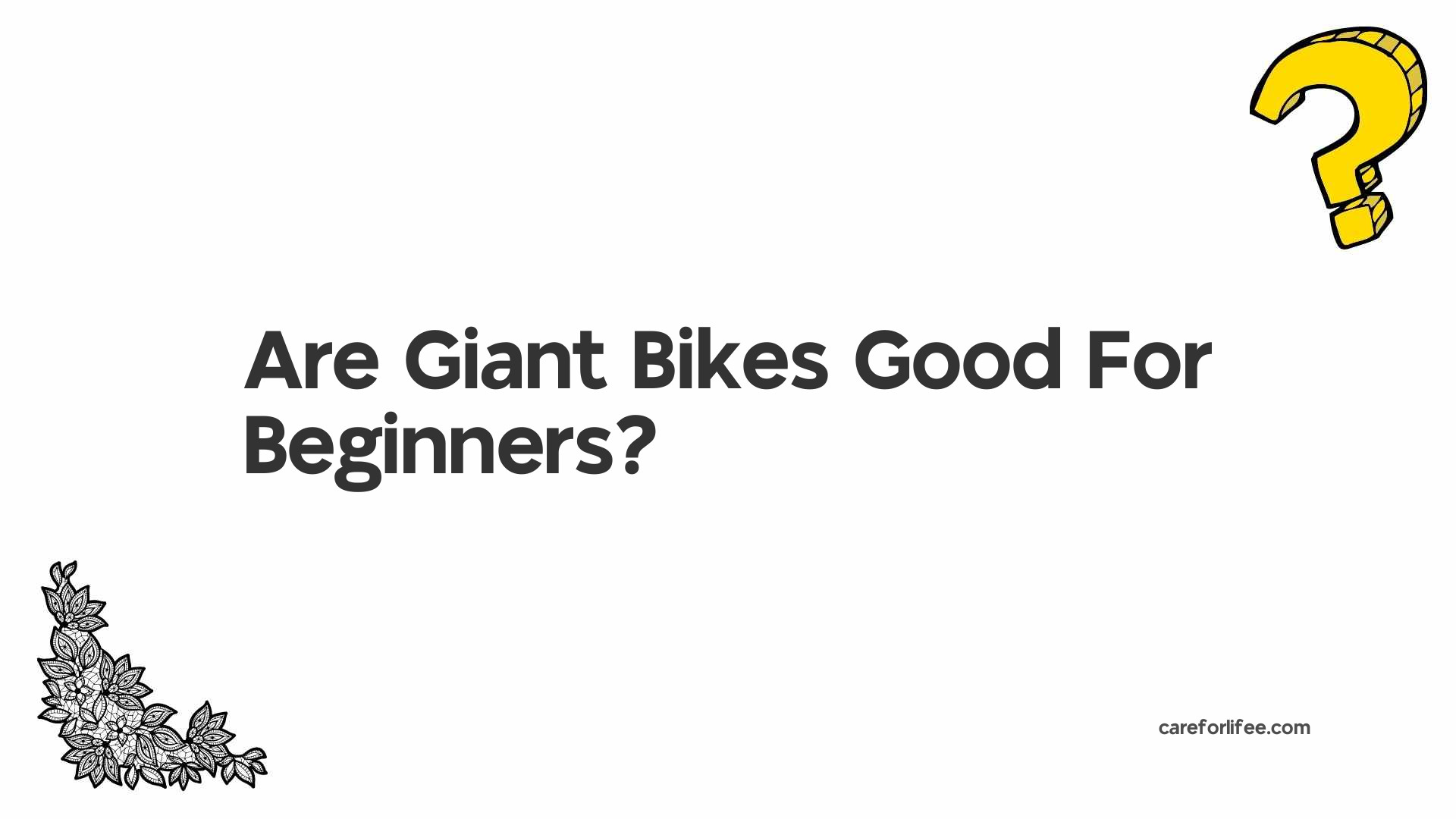 Are Giant Bikes Good For Beginners?