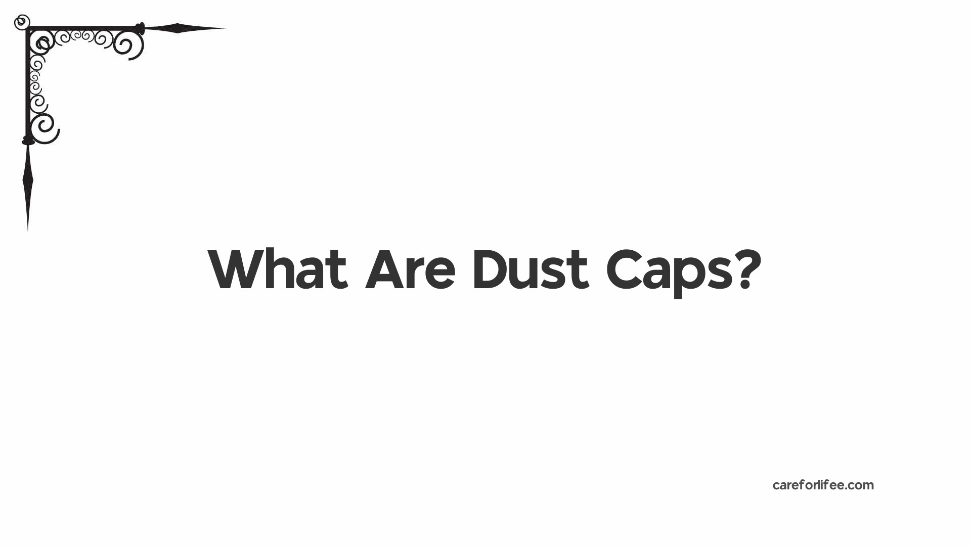 What Are Dust Caps?