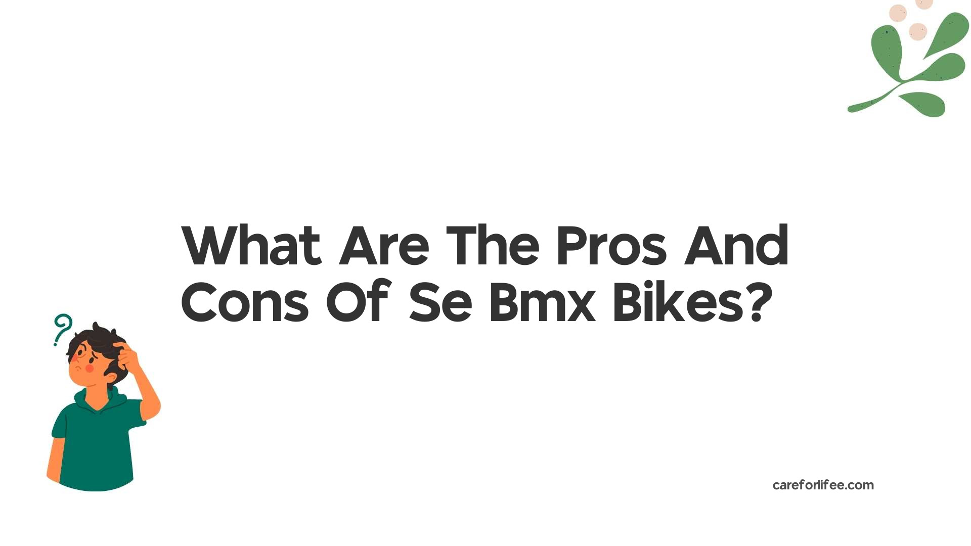 What Are The Pros And Cons Of Se Bmx Bikes?