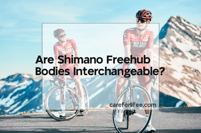 Are Shimano Freehub Bodies Interchangeable?