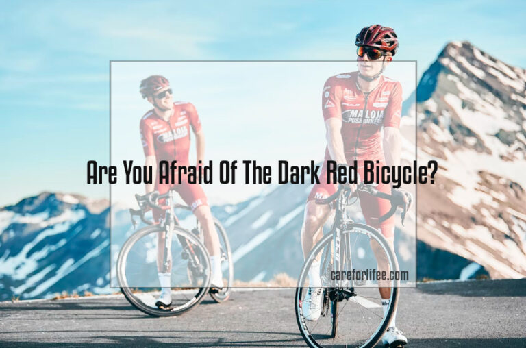 Are You Afraid Of The Dark Red Bicycle?