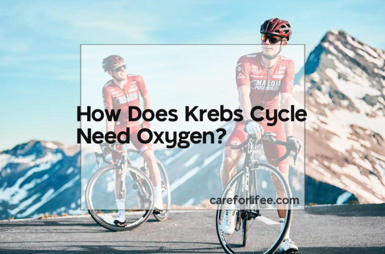 How Does Krebs Cycle Need Oxygen?