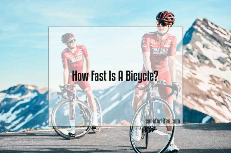 How Fast Is A Bicycle?