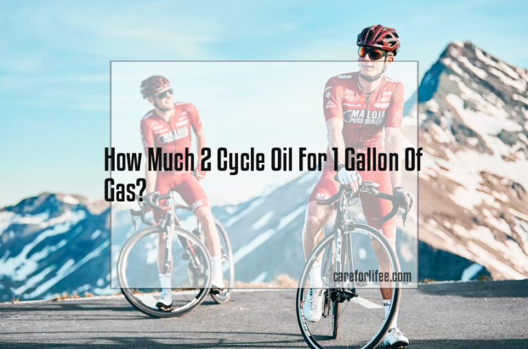 How Much 2 Cycle Oil For 1 Gallon Of Gas?