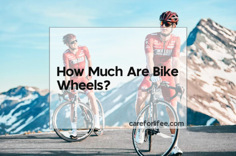 How Much Are Bike Wheels?