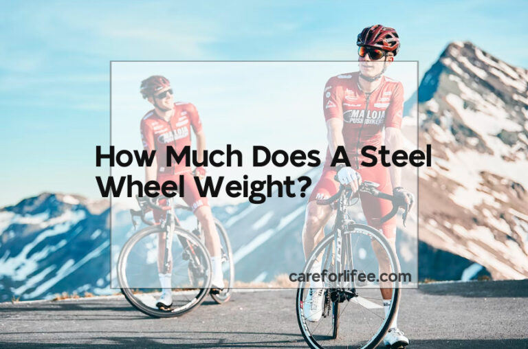 How Much Does A Steel Wheel Weight?