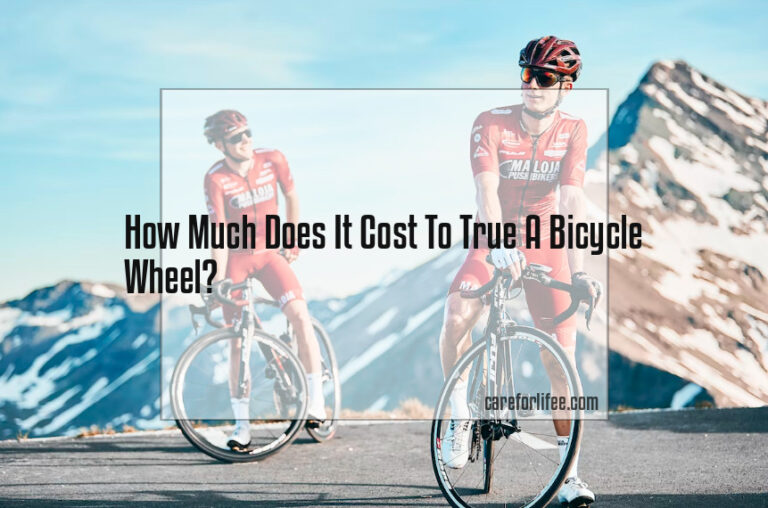 How Much Does It Cost To True A Bicycle Wheel?