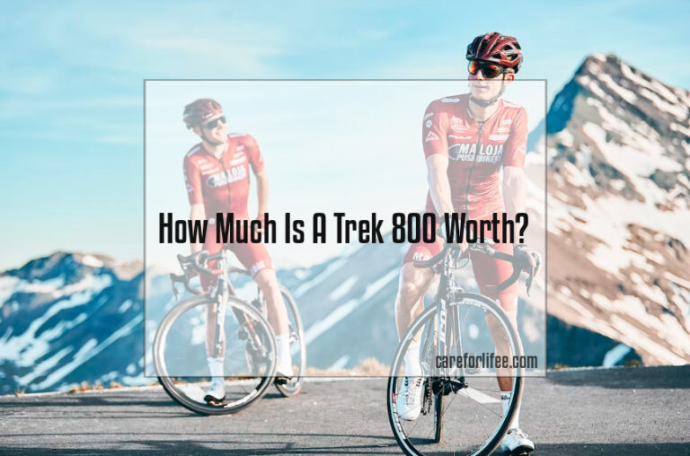 How Much Is A Trek 800 Worth?