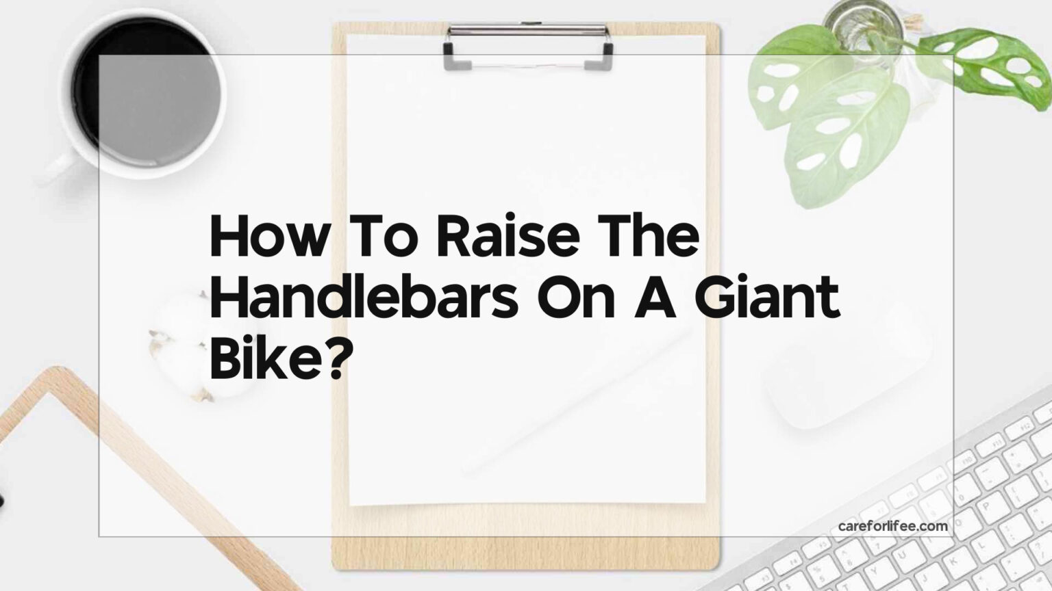 giant bike handlebars