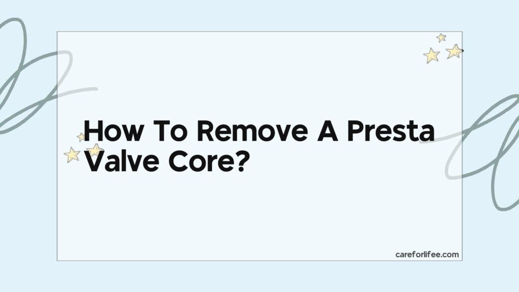 How To Remove A Presta Valve Core 2024