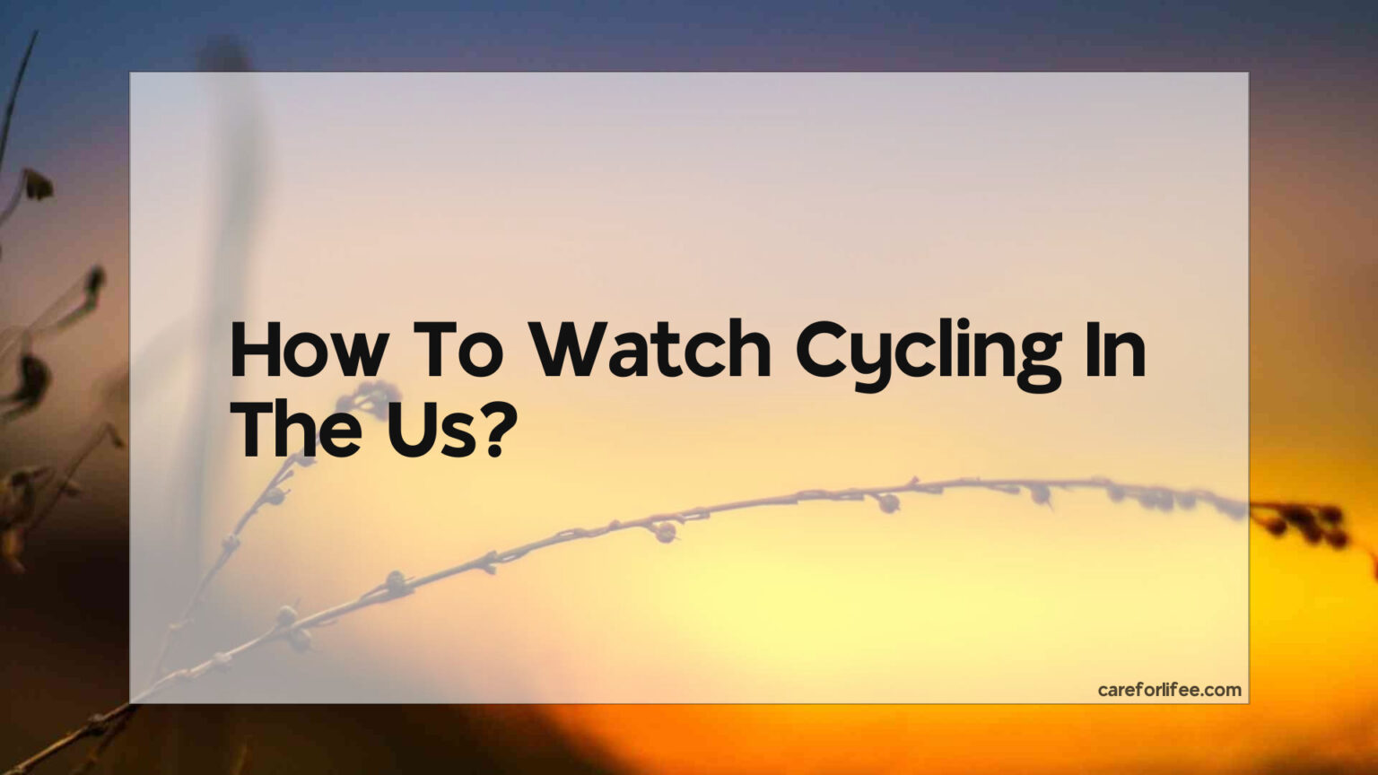 How To Watch Cycling In The Us 2024