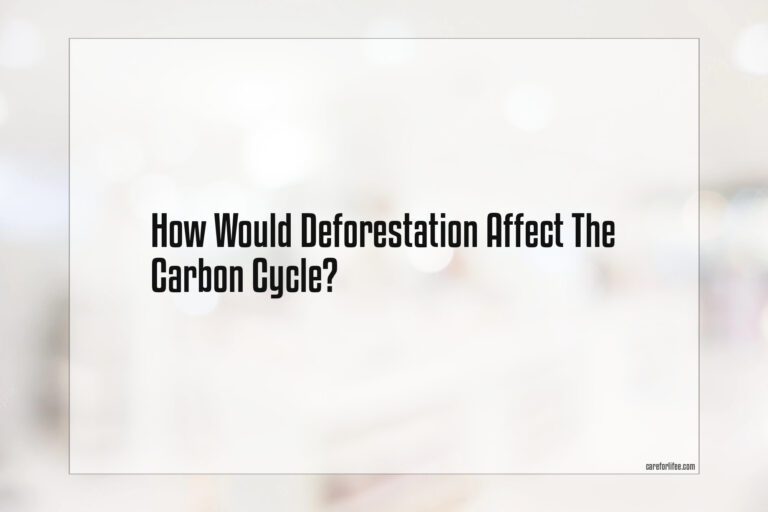 How Would Deforestation Affect The Carbon Cycle
