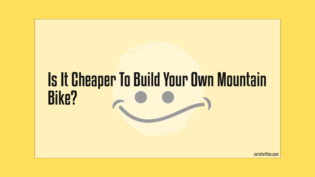 is it cheaper to build or buy a mountain bike