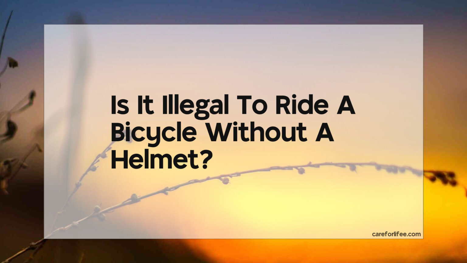 Is It Illegal To Ride A Bicycle Without A Helmet 2023