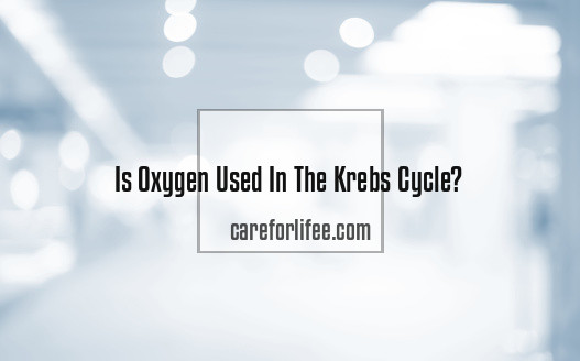 Is Oxygen Used In The Krebs Cycle