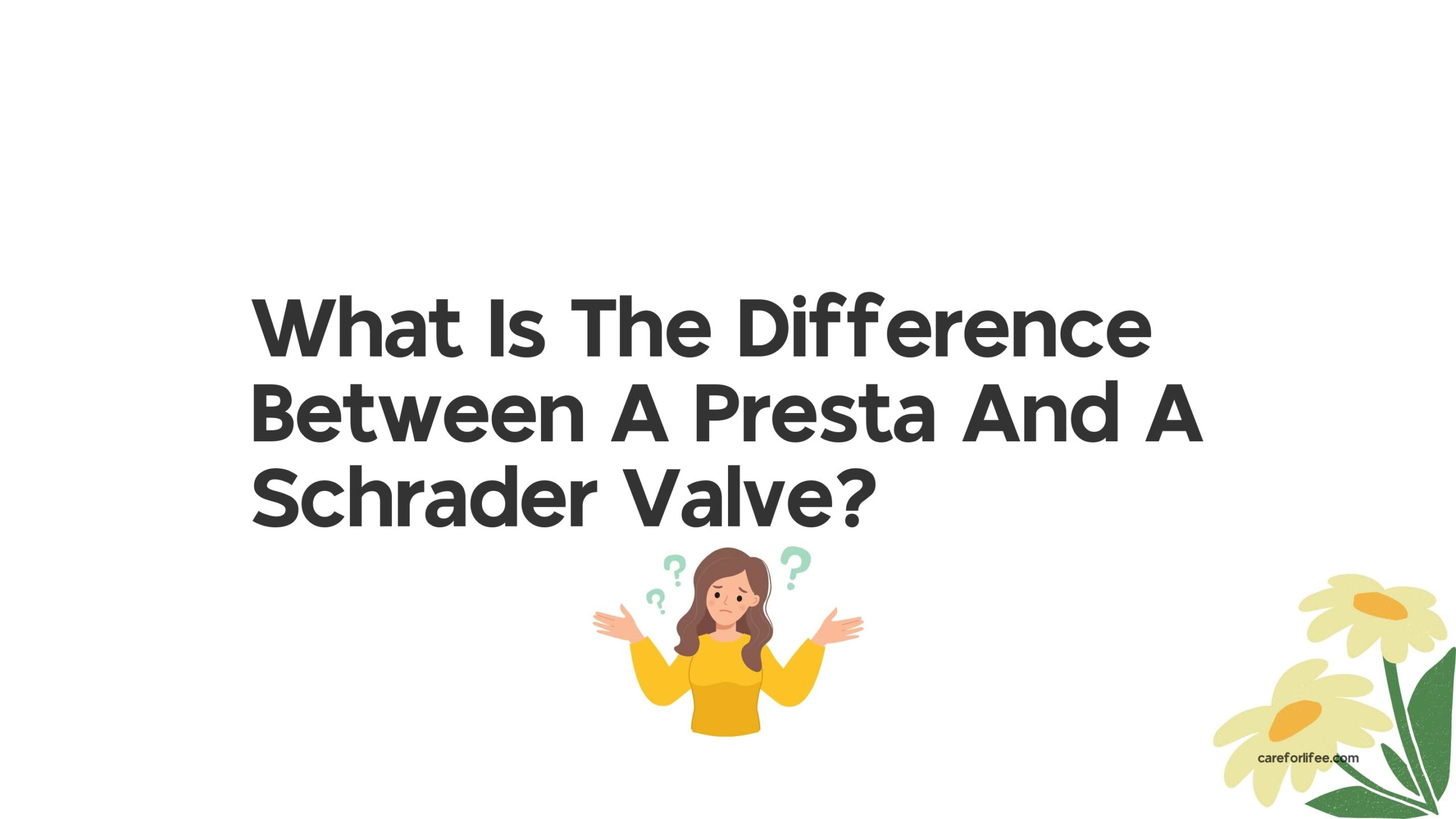 What Is The Difference Between A Presta And A Schrader Valve?