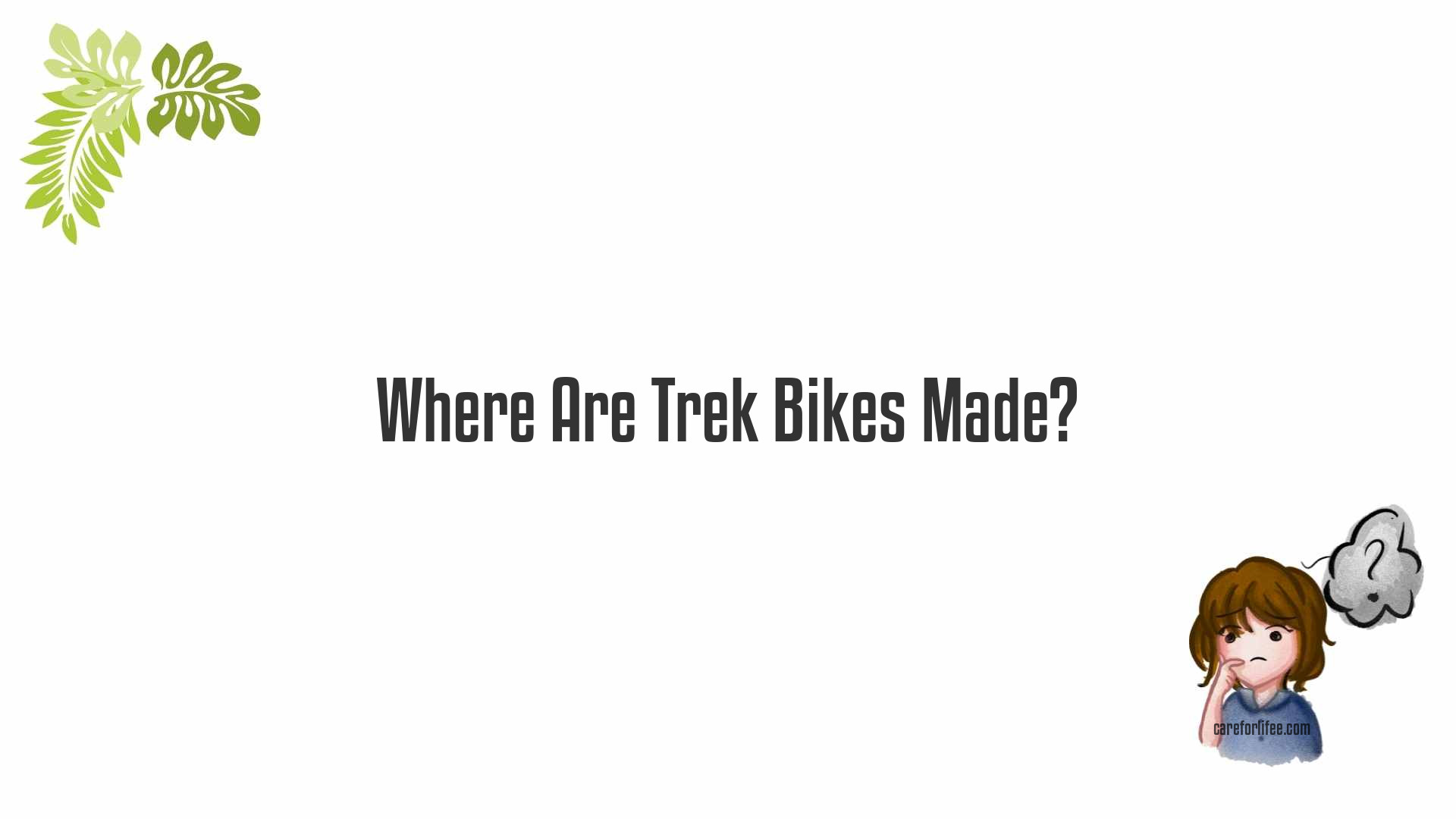 Where Are Trek Bikes Made?