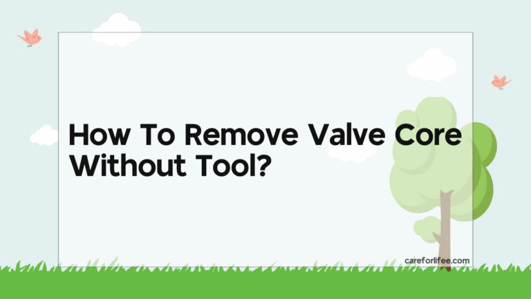 How To Remove Valve Core Without Tool