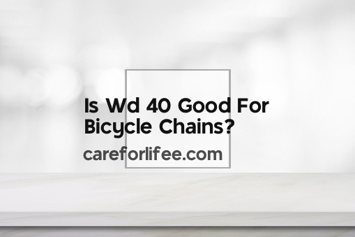 Is Wd 40 Good For Bicycle Chains