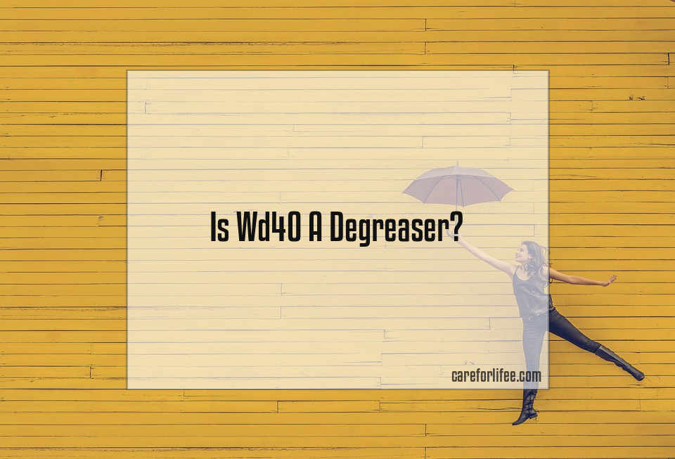 Is Wd40 A Degreaser 
