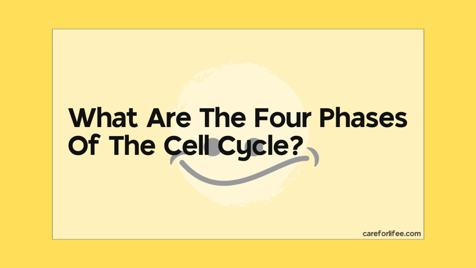 What Are The Four Phases Of The Cell Cycle 2024   What Are The Four Phases Of The Cell Cycle 1 1536x865 