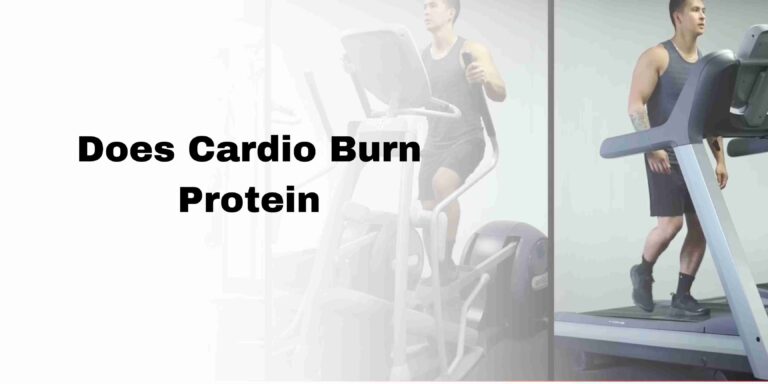 Does Cardio Burn Protein
