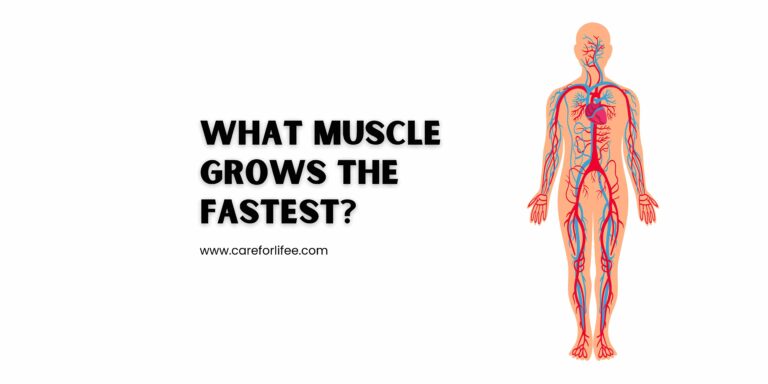 What Muscle Grows the Fastest?